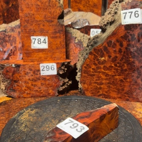 大果紫檀（缅甸花梨）