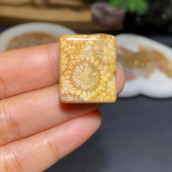 【闪购商品】未镶嵌珊瑚玉硅化玉