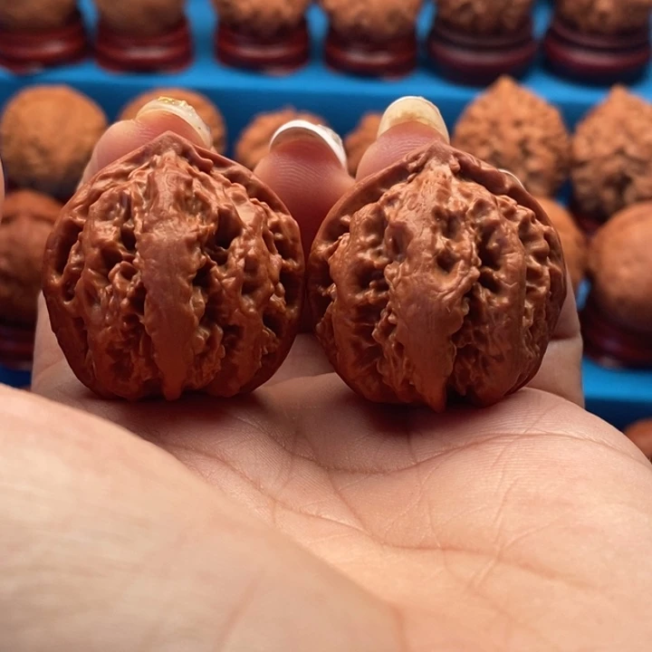 核桃精品文玩核桃手捻蚁王