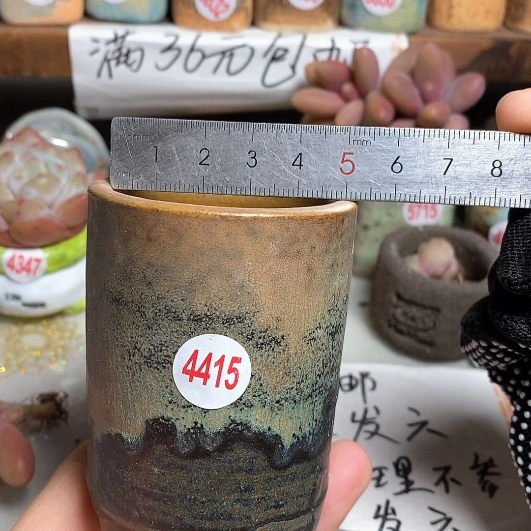 红陶拍5送一个小