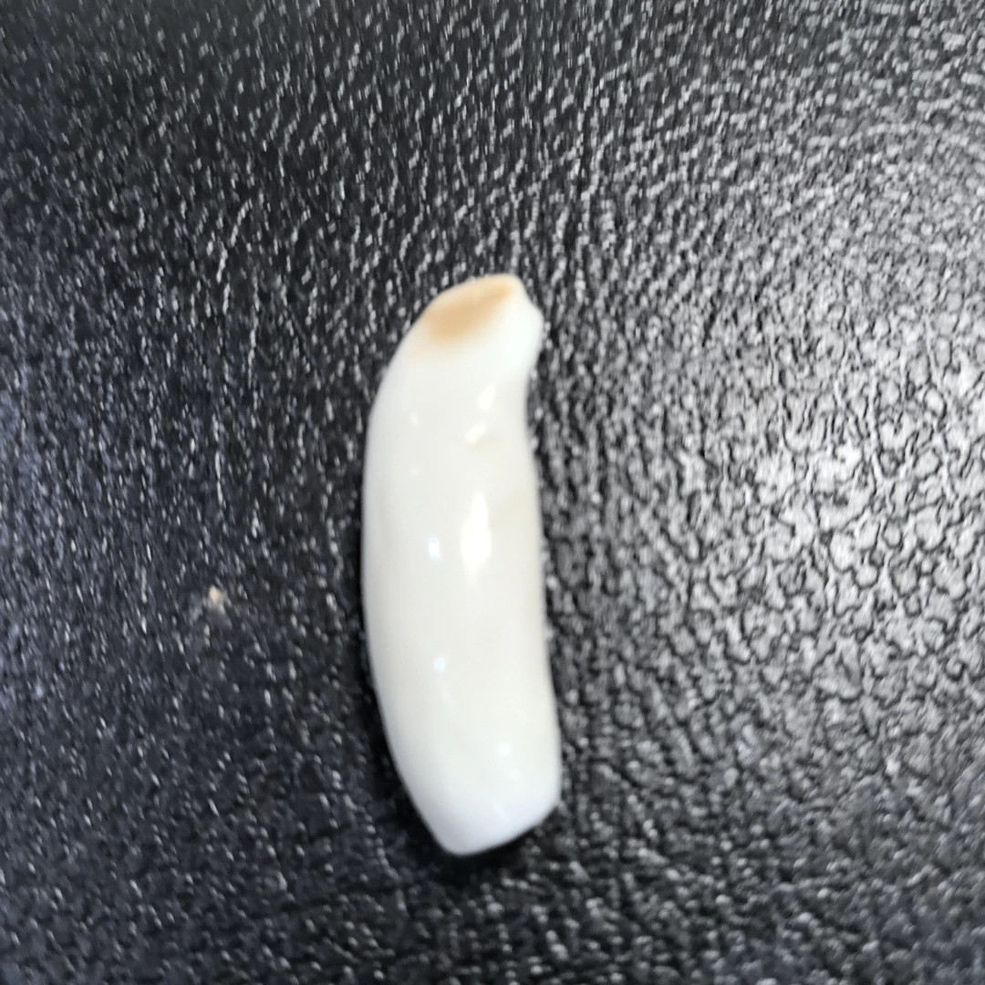 猛犸秋吊坠12.5克链接Q187