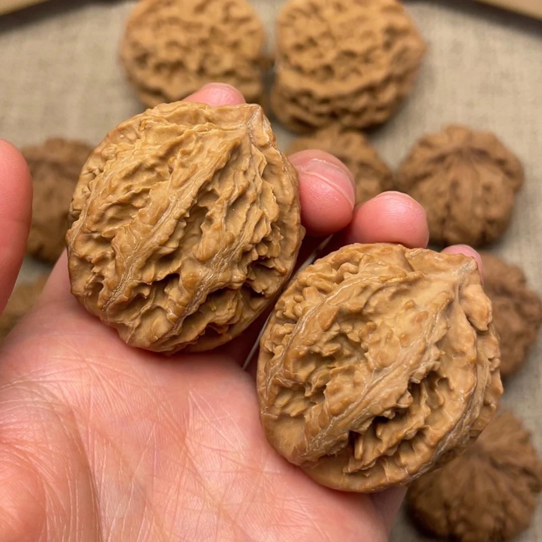 核桃秦岭野生核桃8号