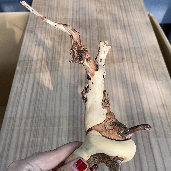 枯***彩玲珑堂精品百货商行