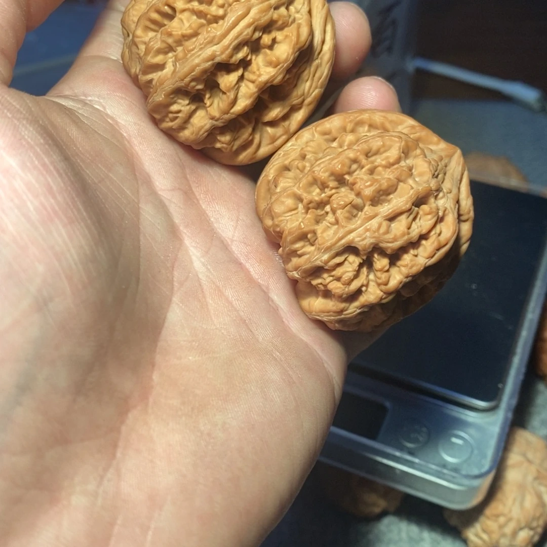 44原桩大粗筋。
