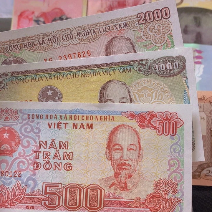纸币全新纸币越南3张