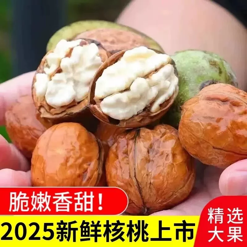 2025年云南新鲜湿核桃去青皮核桃鲜核桃生核桃嫩核桃3/5斤