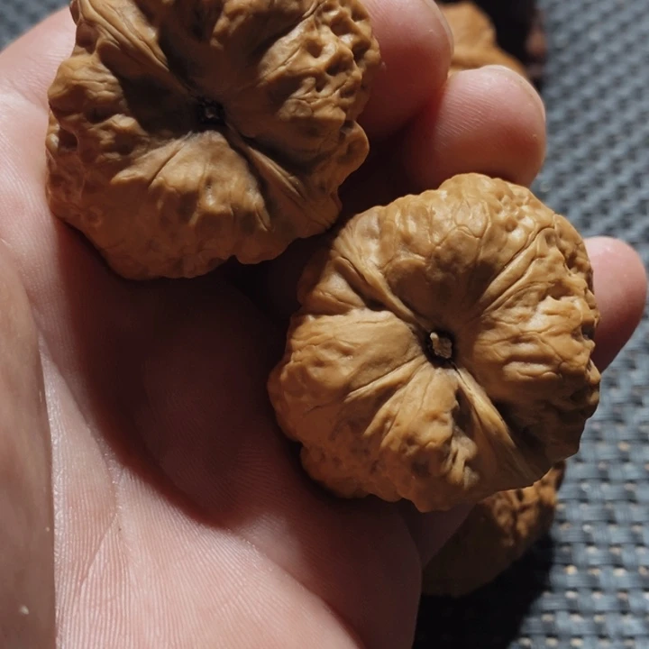 核桃手串/手链?**文玩核桃古蝉