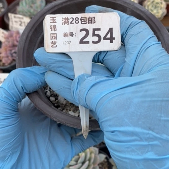 深*?254一一一一一一一一一一一一一