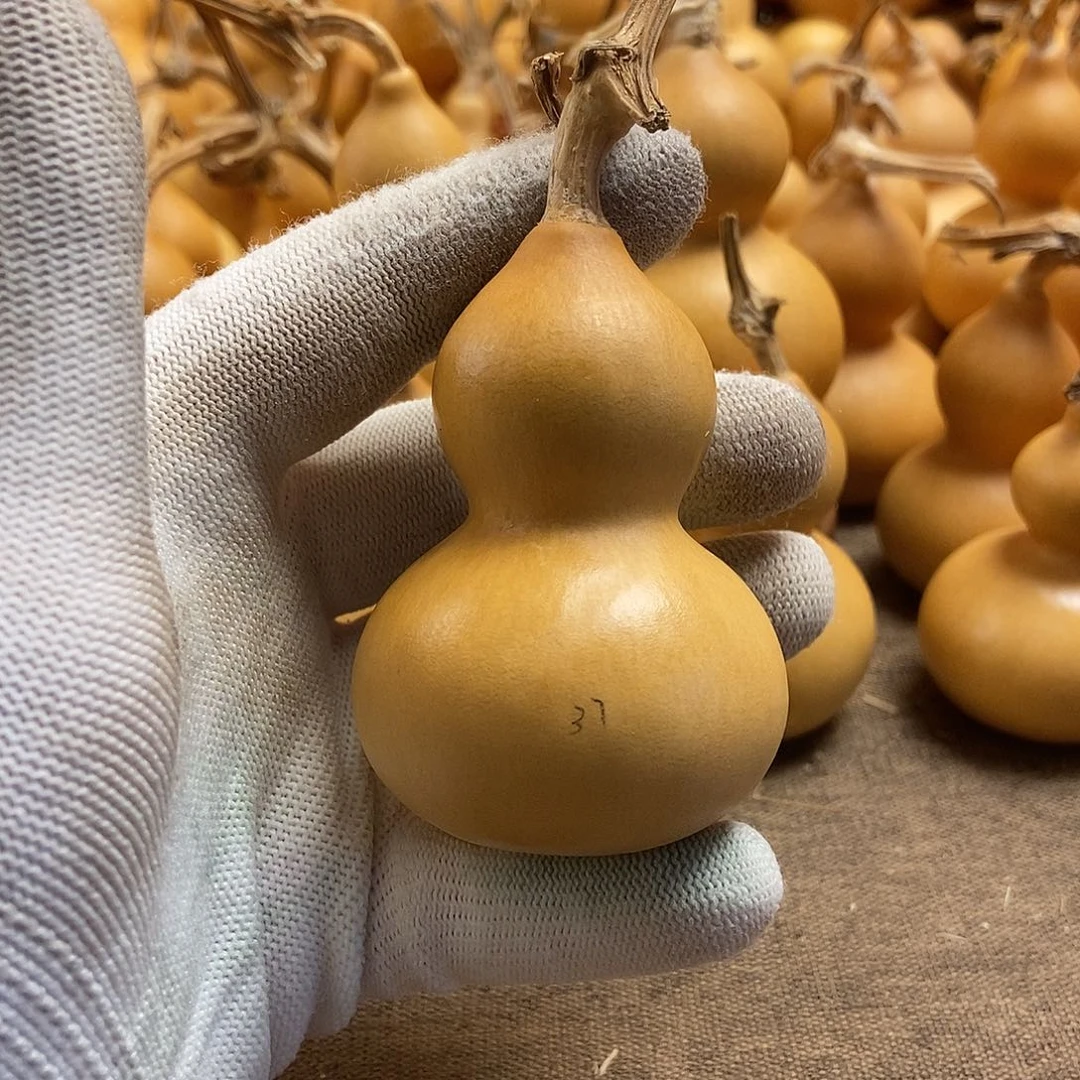 文玩葫芦 完美主义者 慎拍37