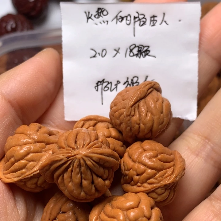 野生龙纹桃核霸王龙18颗打孔
