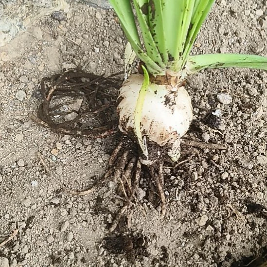 小***点完全开放一夜扁舟6+