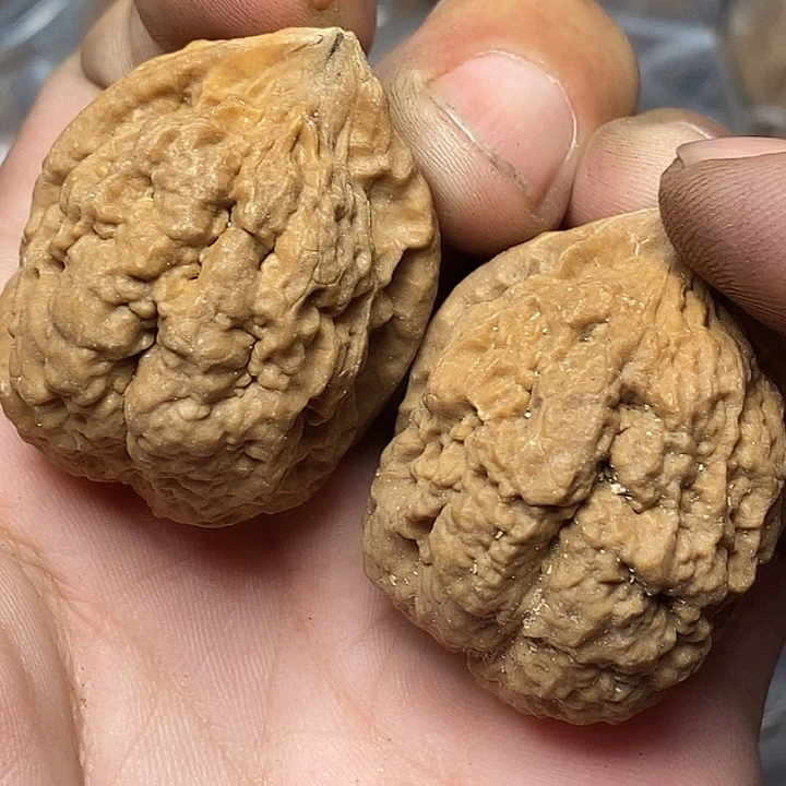 把件文玩核桃云南铁核桃B99