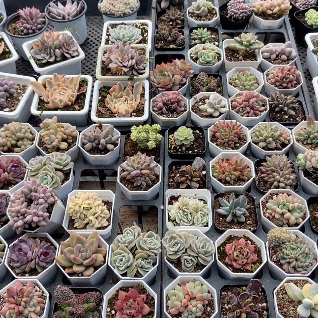 保温箱，低于零下五度拍