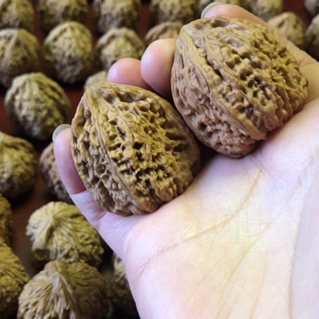 【闪购商品】文玩核桃把件一代疆石