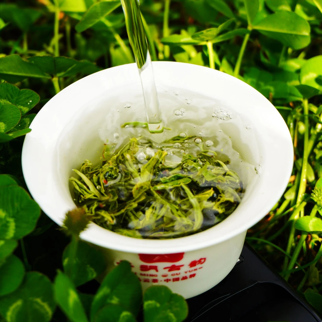翠茗绿茶头春头采100克体验装