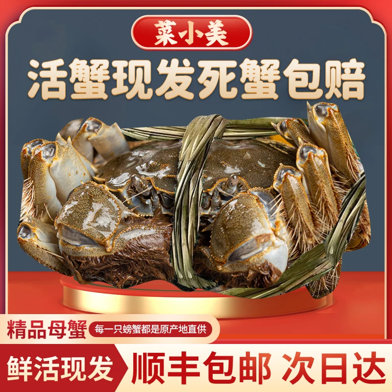 【活蟹】江苏精品大闸蟹母蟹3.0-3.3两10只 顺丰包邮 活蟹现发死蟹包赔