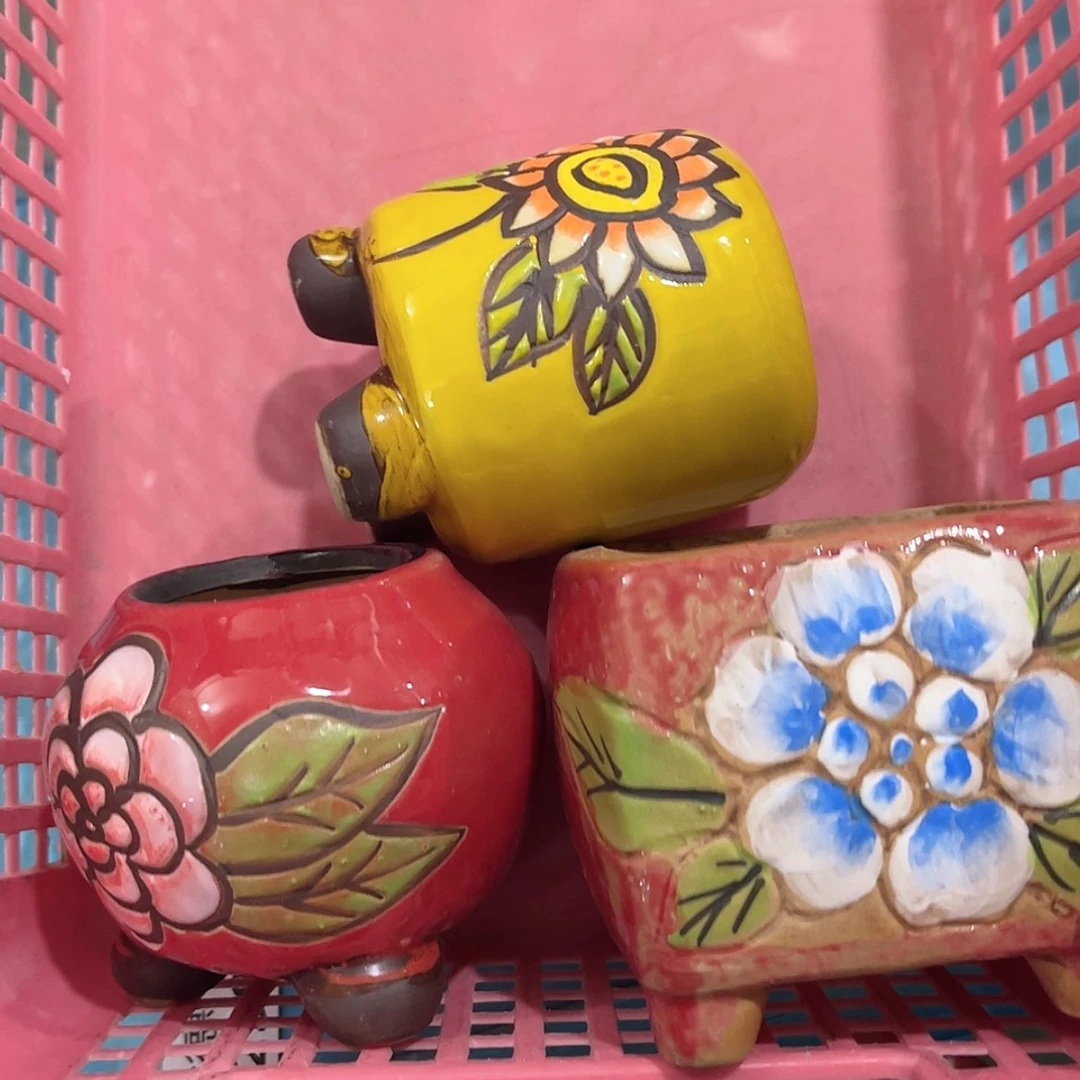 【闪购商品】红陶我