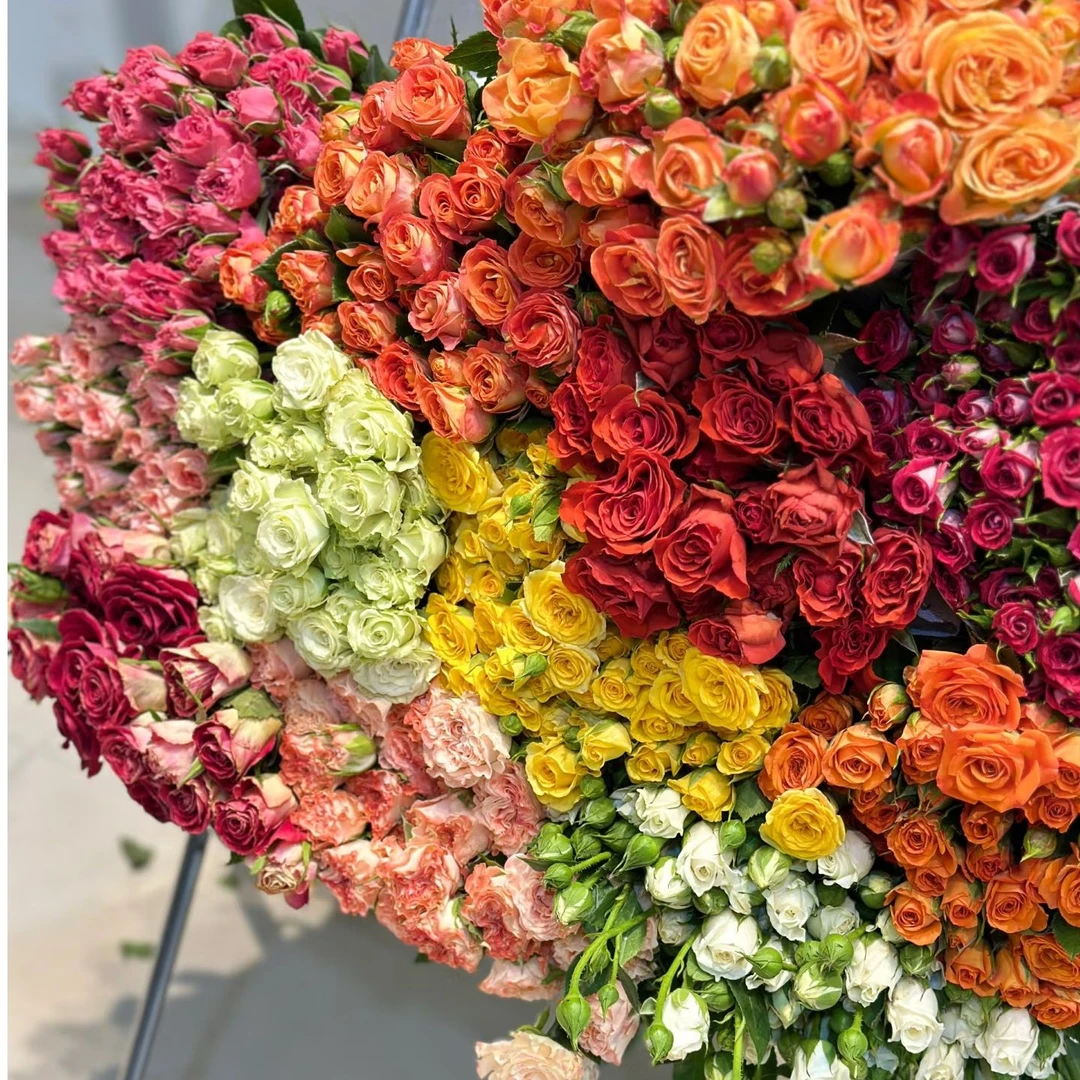 鲜花 1把苏菲泡泡玫瑰 【顺丰包邮】鲜花批发不售后介意勿拍