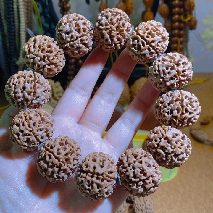 野生多瓣大金刚手持307