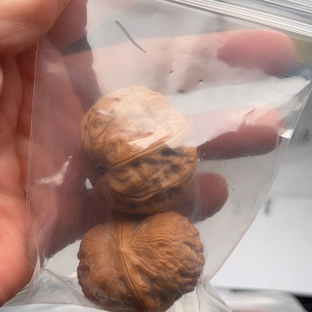 张老三的1元宝核桃