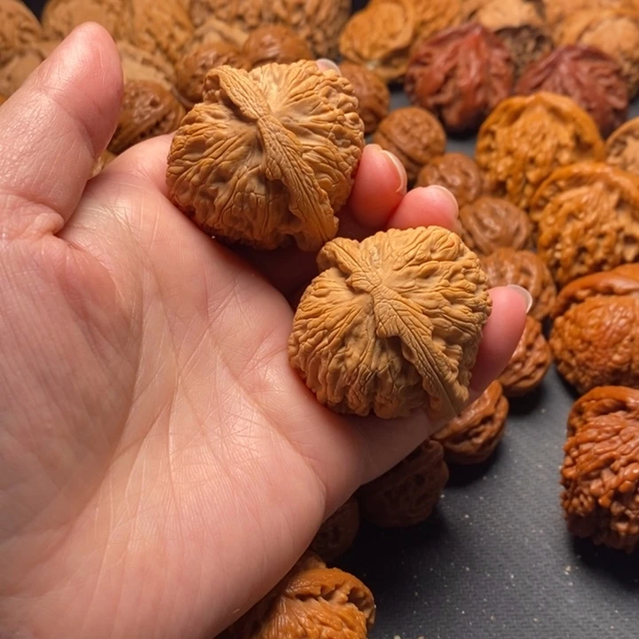 秦岭野生11111111111