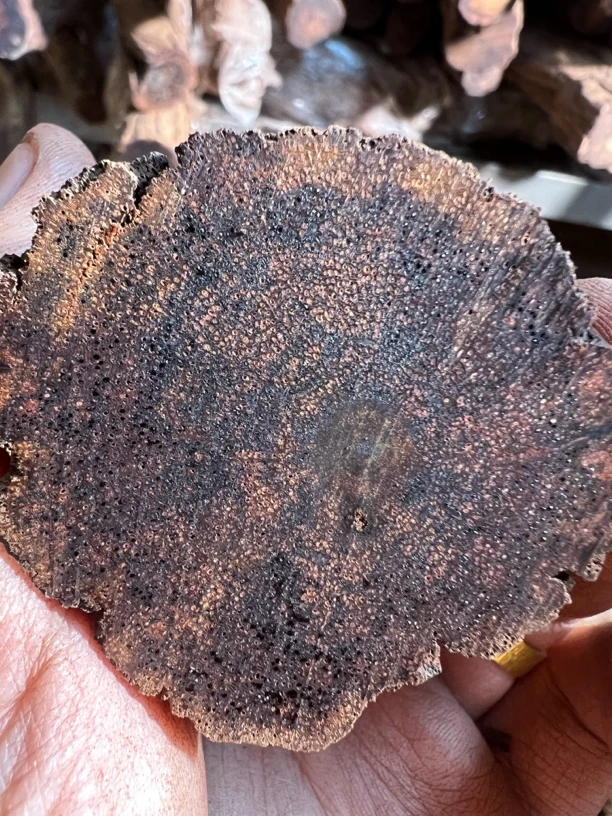 缅甸小叶降真香黄油定制直发