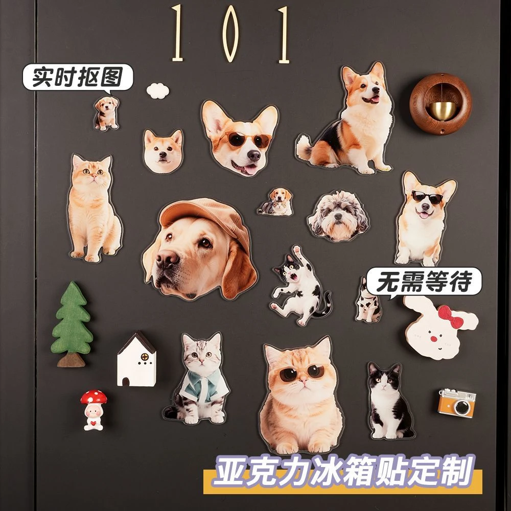 亚克力冰箱贴定制照片宠物小猫咪狗狗立体高级感治愈系磁铁贴定做