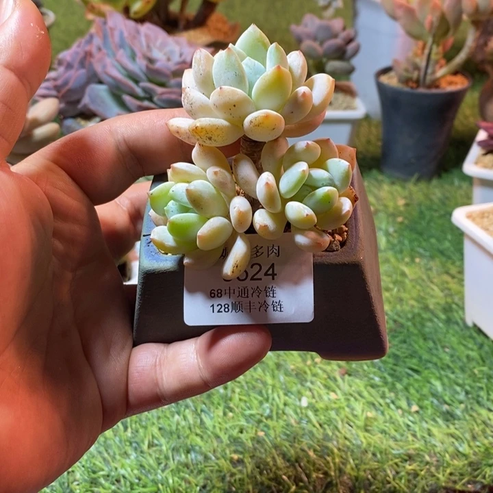 0524啊啊啊啊啊啊啊啊啊啊啊