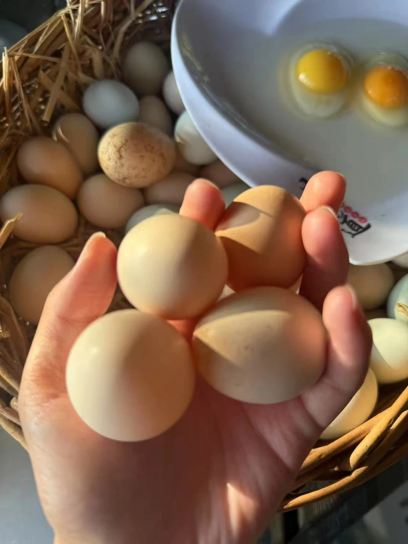 蓟县山坡散养笨鸡蛋粉壳30枚