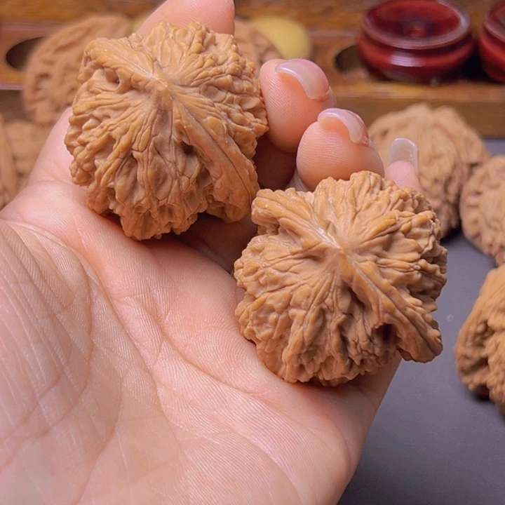 兰*核桃专用链接，福利麦虎