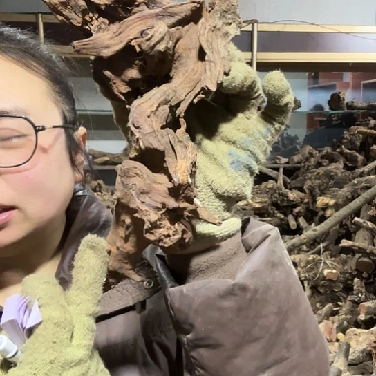 香榧木凉火琉璃的故事毛料摆件