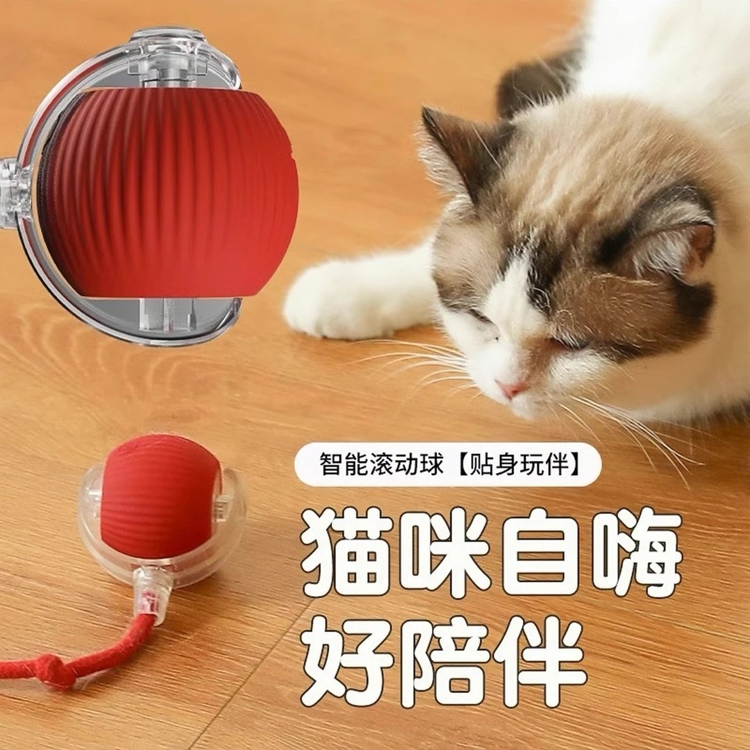 猫咪玩具球自嗨球逗猫逗狗滚滚球毛宠物解闷毛绒球猫玩具宠物玩具