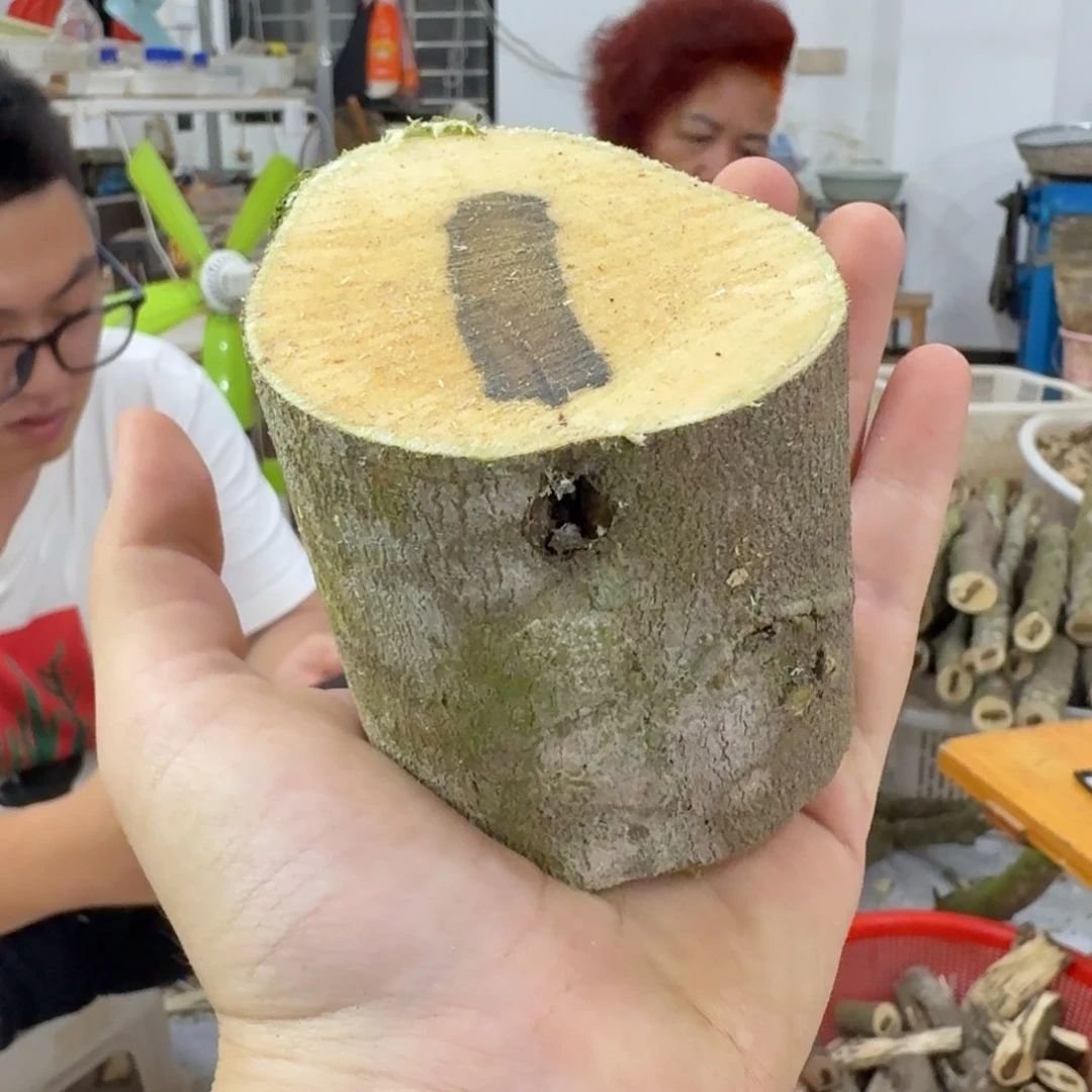 线香奇楠沉香原木