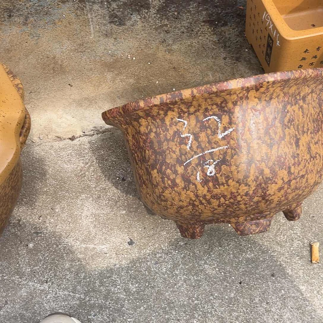 紫砂花盆盆景艺术