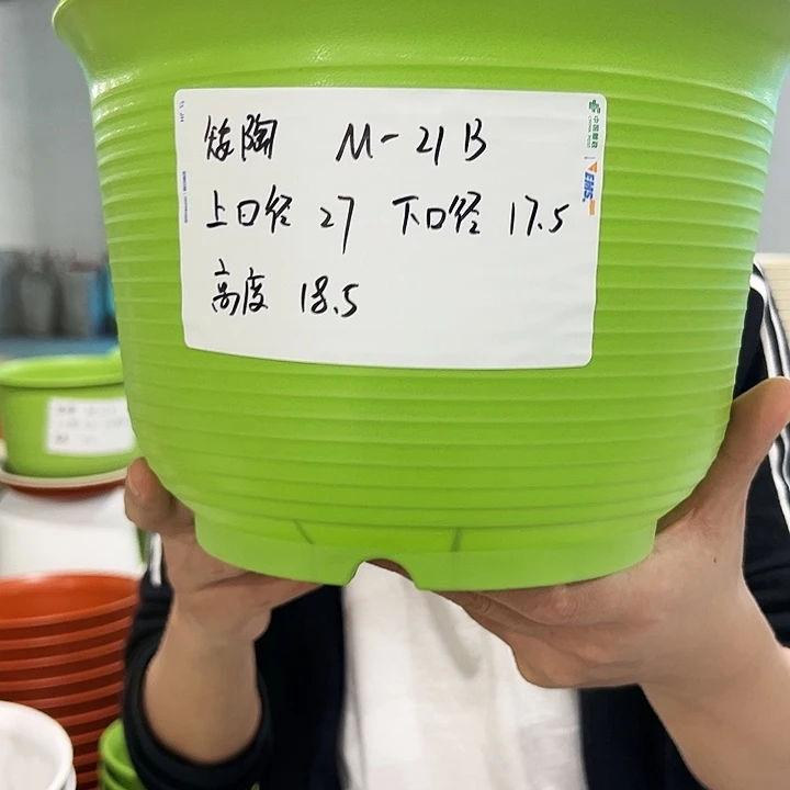 正品矮陶口27高18果绿6只无托