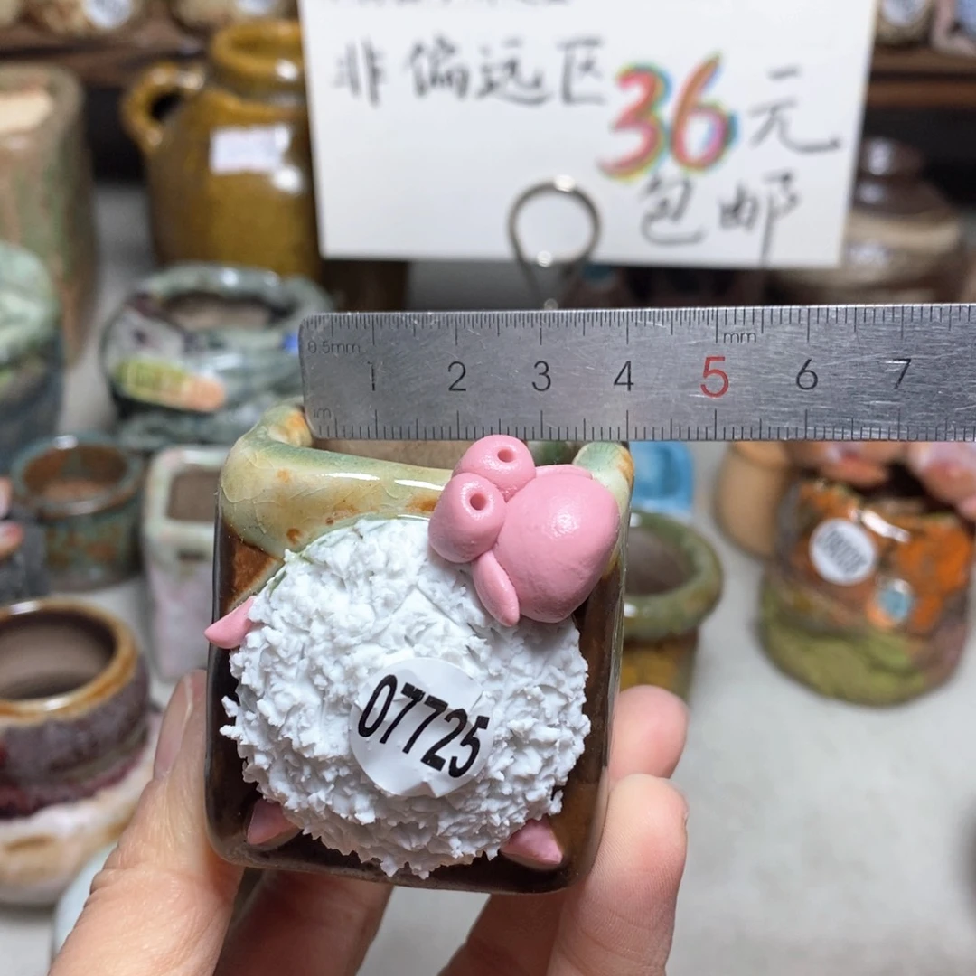 花盆拍3送一个小礼物