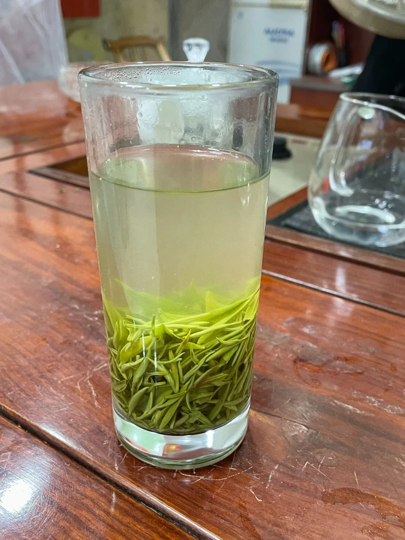 2025年新茶信阳毛尖早期明前绿茶老旱茶栗香茶礼原产地直发
