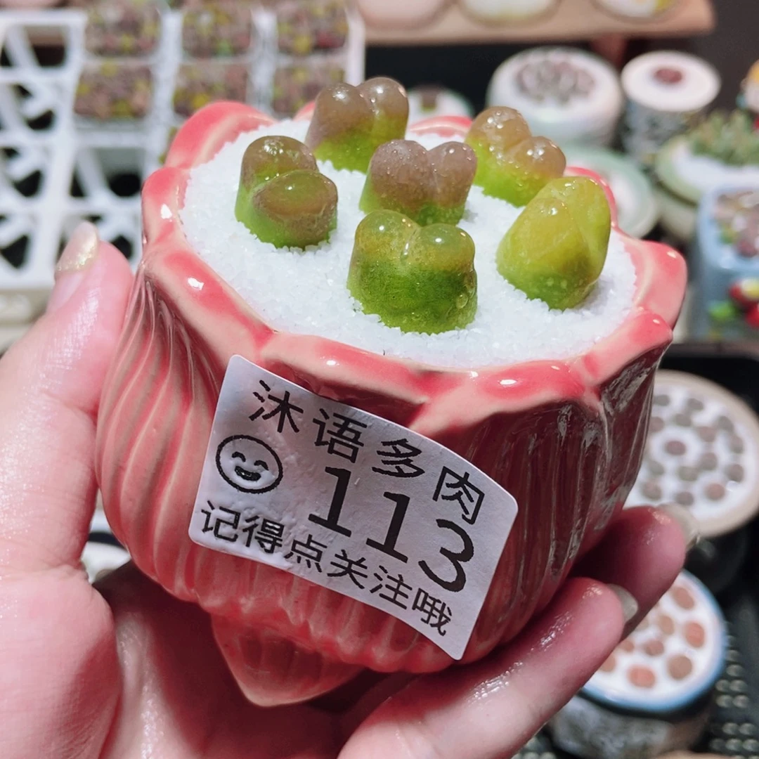 一物一拍 所见即所得113