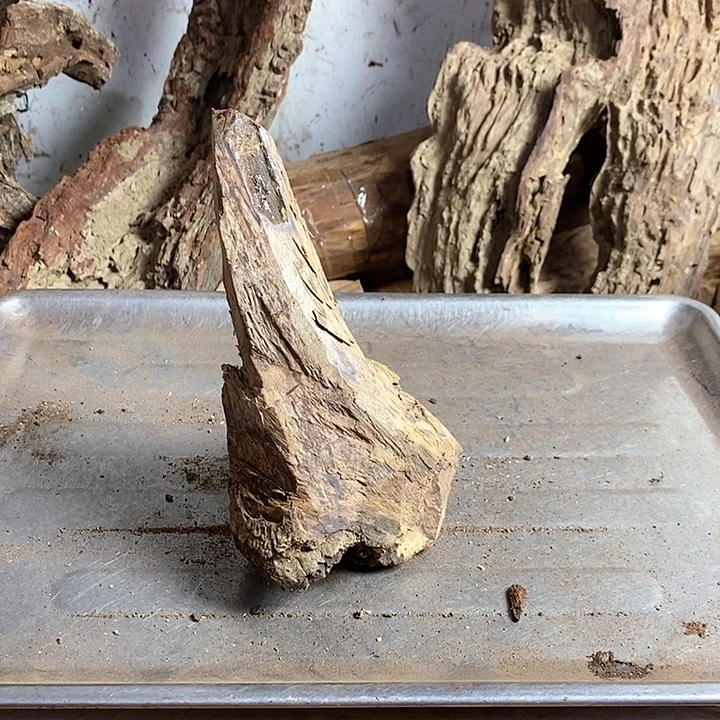 花梨木类佳*海南黄梨