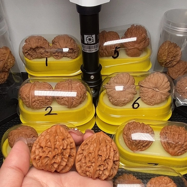 39高尖 凹底龙门 涧