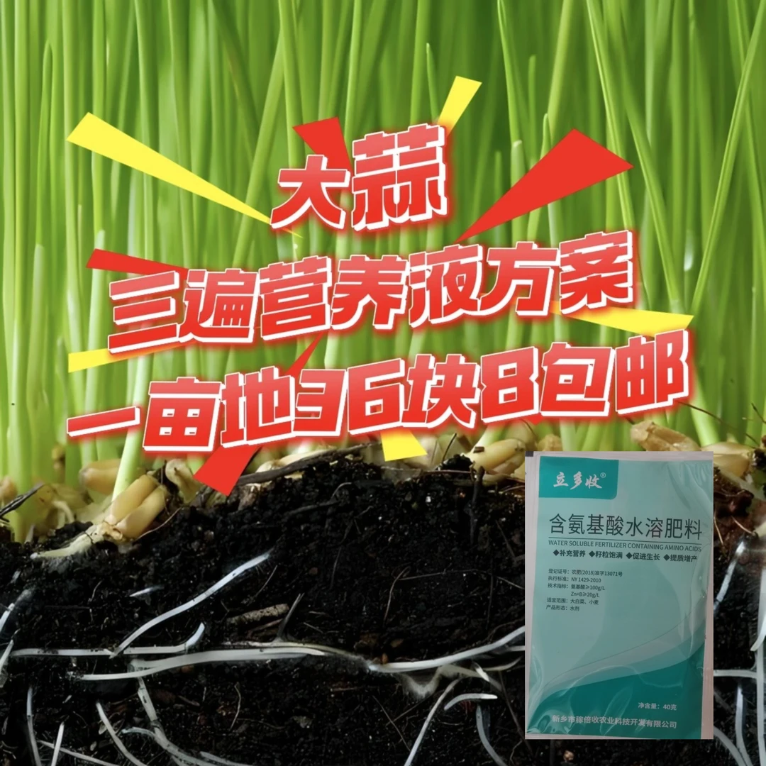 一亩地三遍营养方案大蒜包邮