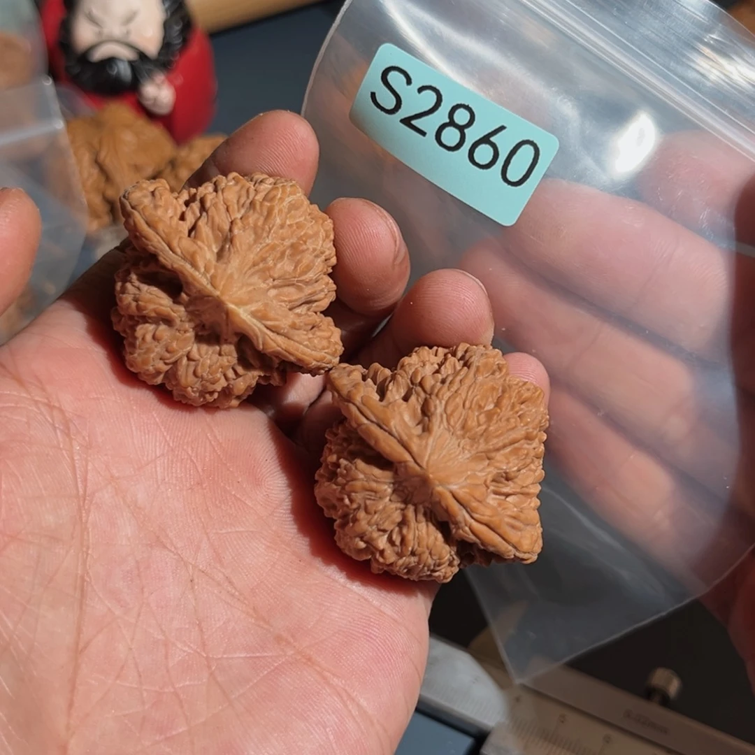 文玩核桃把件满天星
