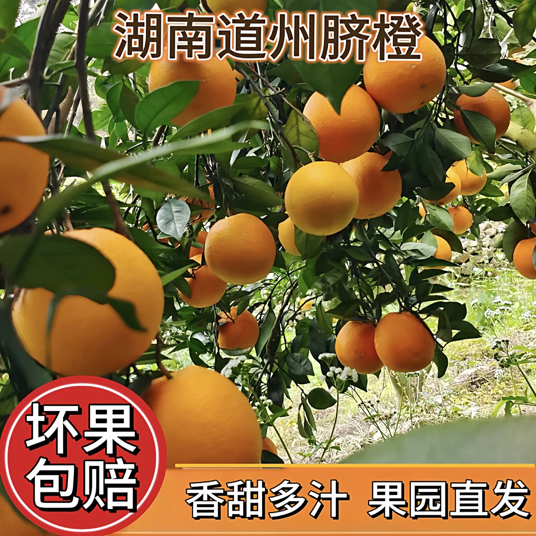 【助农鲜果】正宗道州脐橙精品大果现摘现发纯甜爆汁整箱包邮