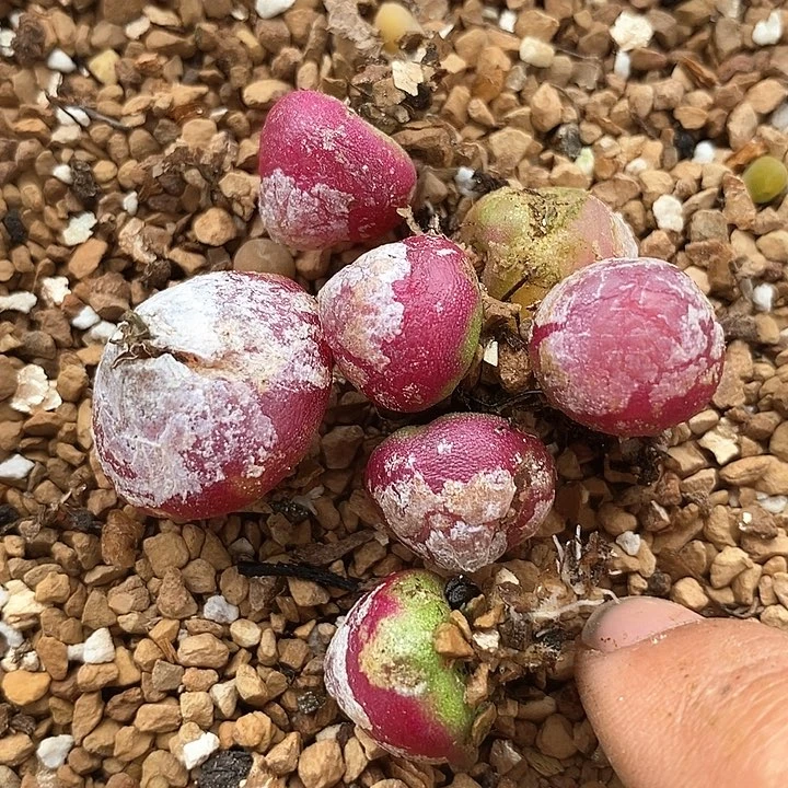 19538一组灯有伤