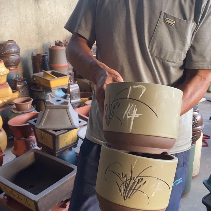 紫砂花盆紫砂花盆盆栽