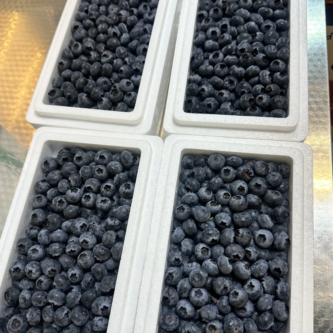 云南花香蓝莓 L25 蓝莓泡沫箱一箱 6.5 两左右