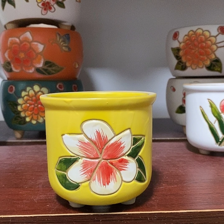 韩式多肉植物花盆