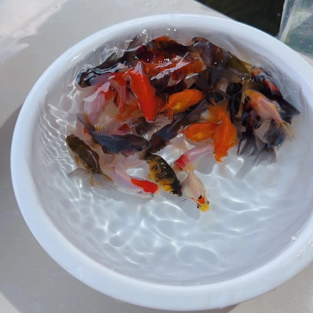 海水11111111111111