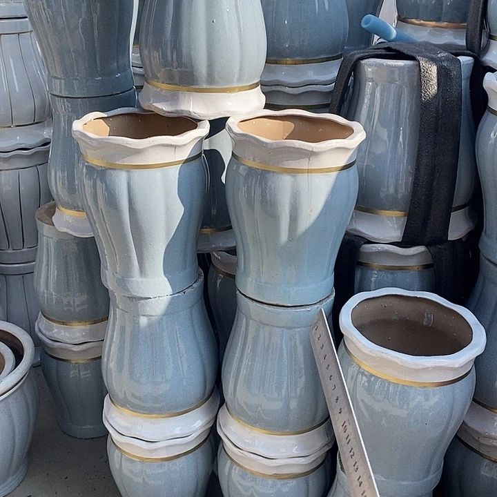 花口蓝南瓜中口25高32福利