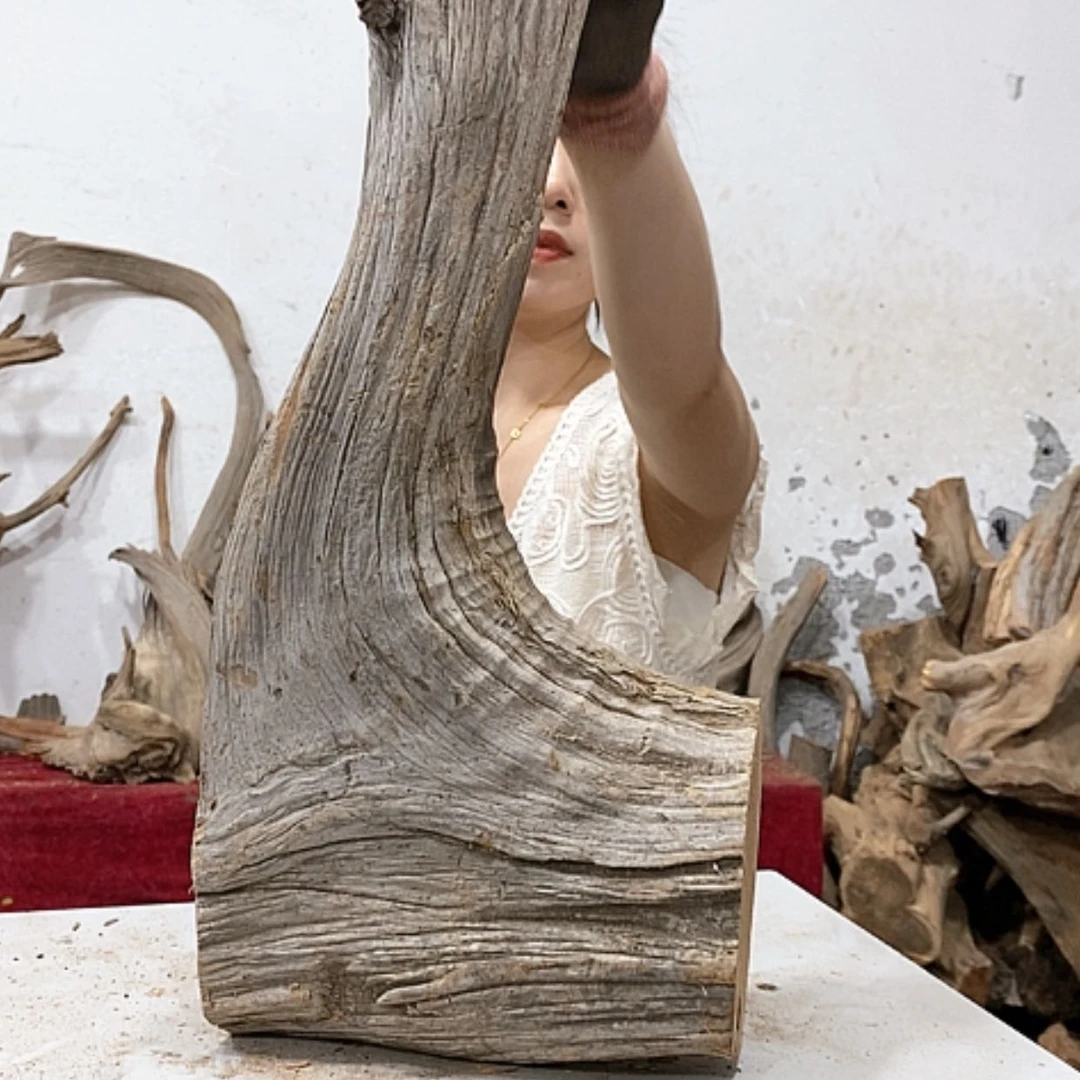 【闪购商品】柏木四****司我们都是好孩子啊